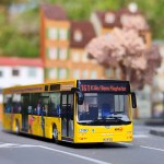 KVB MAN Lions City - Sondermodell Linie 161 Köln Bonn Flughafen
