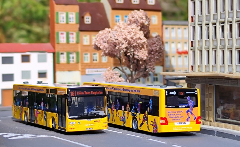 KVB MAN Lions City - Sondermodell Linie 161 Köln Bonn Flughafen