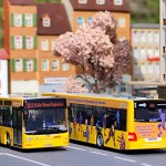 KVB MAN Lions City - Sondermodell Linie 161 Köln Bonn Flughafen