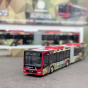 MAN Lions City 18C - DB Regio Bus Mitte - Linie 30 Urmitz