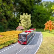 MAN Lions City 18C - DB Regio Bus Mitte - Linie 30 Urmitz