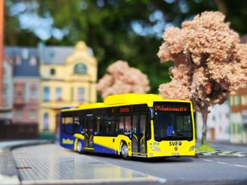 SVE MB Citaro C2 CNG - Sondermodell Linie 875 Euskirchen Bf. - Wagen 366